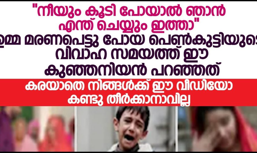 ഇത്താത്തയോട് കുഞ്ഞനിയൻ പറയുന്ന കാര്യങ്ങൾ കേട്ട് കണ്ണുനിറഞ്ഞു പോയി