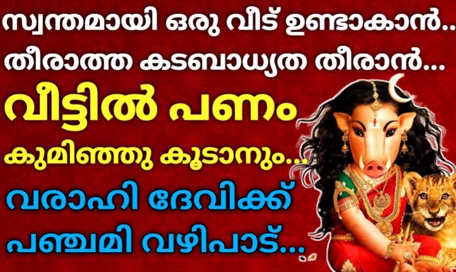 വരാഹി ദേവിക്ക് പഞ്ചമി വഴിപാട് ചെയ്തു നോക്കൂ വീട്ടിൽ പണം കുമിഞ്ഞു കൂടും!