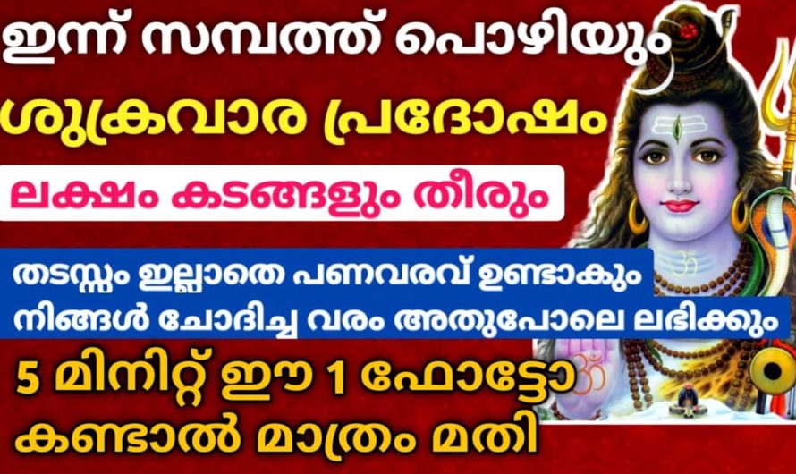 ശിവ ഭഗവാന്റെ ഈ ഒരു ഫോട്ടോ കണ്ടാൽ മാത്രം മതി തടസ്സം മാറി പണം വരവ് ഉണ്ടാകും!