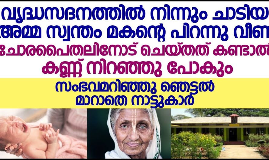 വൃദ്ധസദനത്തിൽ നിന്നും ചാടിയ  അമ്മ സ്വന്തം മകന്റെ പിറന്നുവീണ കുട്ടിയെ ചെയ്തത് കണ്ടാൽ കണ്ണ് നിറഞ്ഞു പോകും!