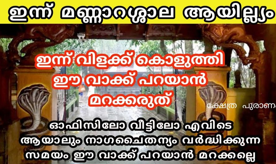 നാഗ ചൈതന്യം  വർഷത്തിലൊരിക്കൽ ഇരട്ടിക്കുന്ന സമയം. എല്ലാ ആഗ്രഹങ്ങളും നാഗങ്ങൾ നടത്തിത്തരും ഈ വാക്കു പറയു.