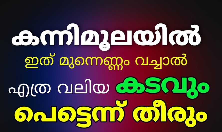 കന്നിമൂലയിൽ ഈ മൂന്നു കാര്യങ്ങൾ ഉണ്ടോ? നിങ്ങളുടെ കടം തീരുന്നില്ല? ഇതാ പരിഹാരം!