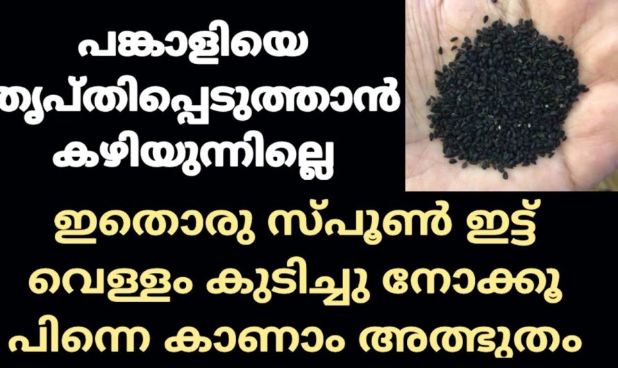 പ്രായപൂർത്തിയായ വ്യക്തികൾ ഈ വീഡിയോ കാണാതെ പോകരുതേ…  വലിയ നഷ്ടമാകും!