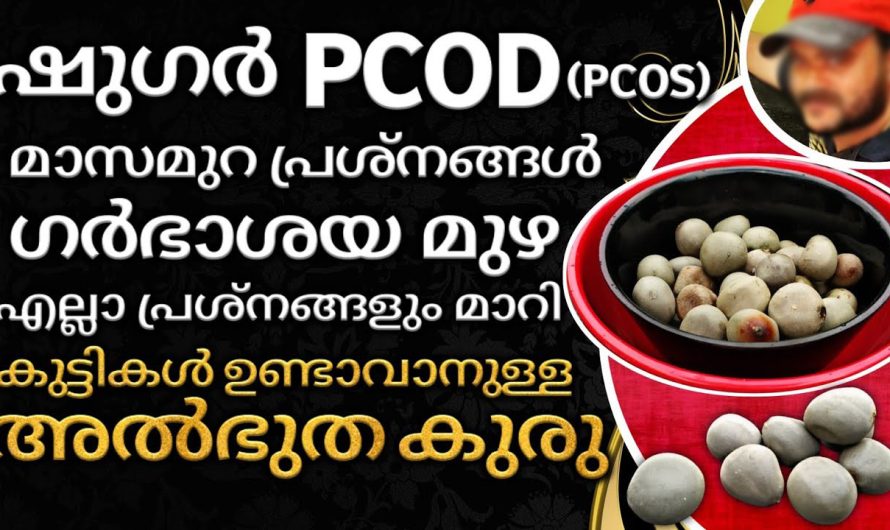 സ്ത്രീകളിലെ പിസിഒഡി  അമിതവണ്ണം മുടികൊഴിച്ചിൽ രോമവളർച്ച എന്നിവയ്ക്ക് പരിഹാരം! ഇതു കഴിച്ചാൽ