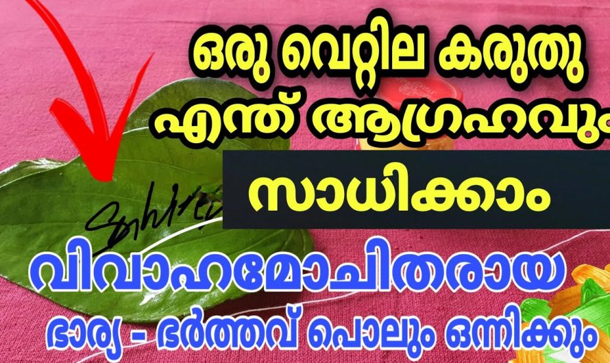 പിണക്കം മാറി 21 ദിവസത്തിനുള്ളിൽ വീണ്ടും ഒന്നിക്കും വിവാഹമോചിതരായവർ വരെ