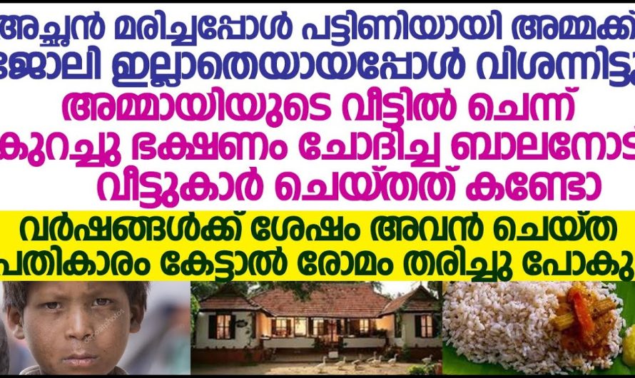 അമ്മായിയുടെ വീട്ടിൽ ചെന്ന് കുറച്ചു ഭക്ഷണം ചോദിച്ച ബാലനോട് വീട്ടുകാർ ചെയ്തത് കണ്ടോ!