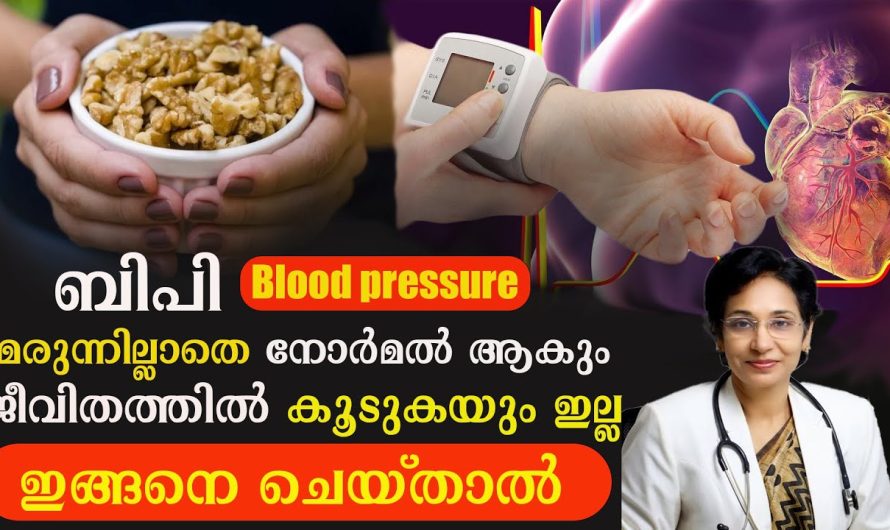 ബിപി ഉള്ളവരാണോ നിങ്ങൾ??? എങ്കിൽ ഈ വീഡിയോ തീർച്ചയായും കാണുക ഉപകാരപ്പെടും!