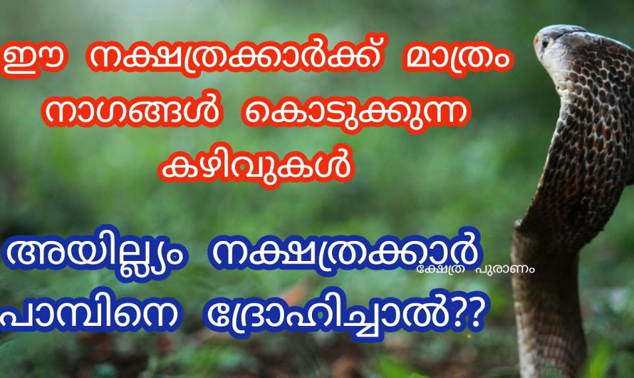 നാഗങ്ങളും ആയില്യം നക്ഷത്രവും തമ്മിലുള്ള ബന്ധം???