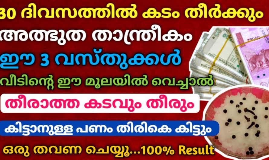 ഈ 3 വസ്തുക്കൾ ഒരുമിച്ചു ചേർത്ത് വീടിന്റെ ഈ മൂലയിൽ വെക്കൂ…