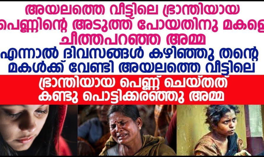 അയലത്തെ വീട്ടിലെ ഭ്രാന്തി ആയ പെണ്ണിന്റെ അടുത്തു പോയതിനു മകളെ ചീത്ത പറഞ്ഞ അമ്മ പിന്നീട് അവർക്ക് സംഭവിച്ചത്!