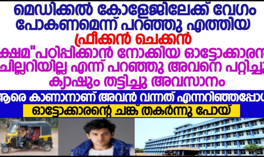 ഫ്രീക്കൻചെക്കനെ ക്ഷമ പഠിപ്പിക്കാൻ നിന്ന ഓട്ടോക്കാരന് സംഭവിച്ചത്;