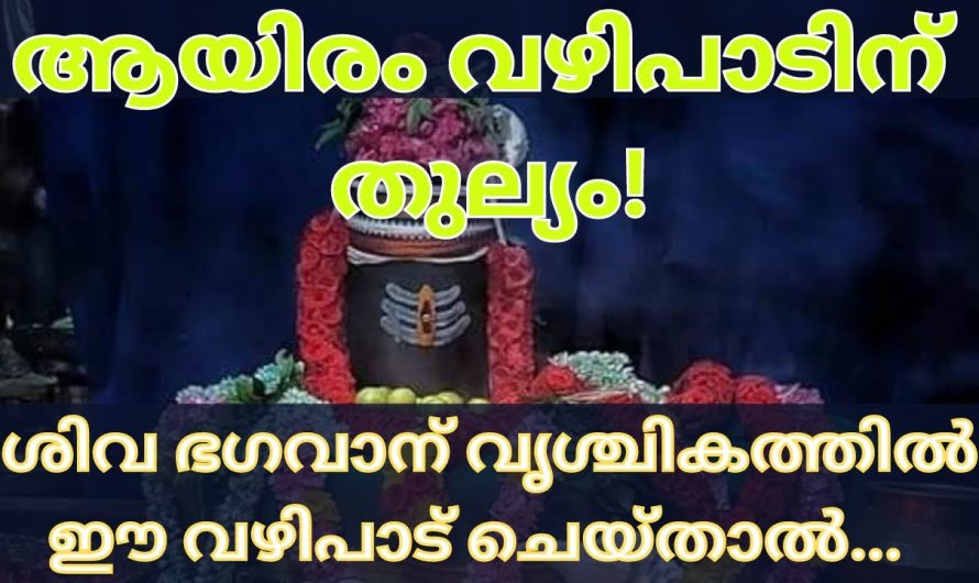 വൃശ്ചിക മാസത്തിൽ ശിവ ഭഗവാന് ഈ വഴിപാട് കഴിച്ചാൽ…..