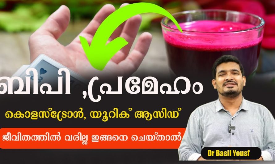 ബിപി ,പ്രമേഹം ,കൊളസ്ട്രോൾ ജീവിതത്തിൽ കൂടില്ല ഇങ്ങനെ ചെയ്താൽ