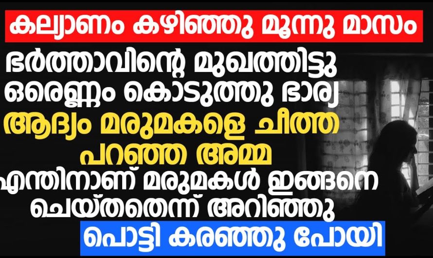 ഭർത്താവിന്റെ മുഖത്തടിച്ച ഭാര്യയെ അമ്മായിയമ്മ ചെയ്തത് കണ്ടോ!