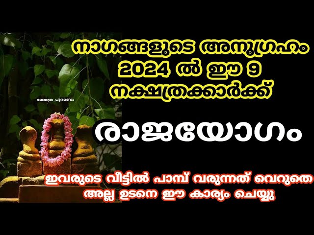 2024 ൽ ഈ 9 നക്ഷത്രക്കാർ നാഗങ്ങൾക്ക് ഈ വഴിപാട് ചെയ്താൽ…..