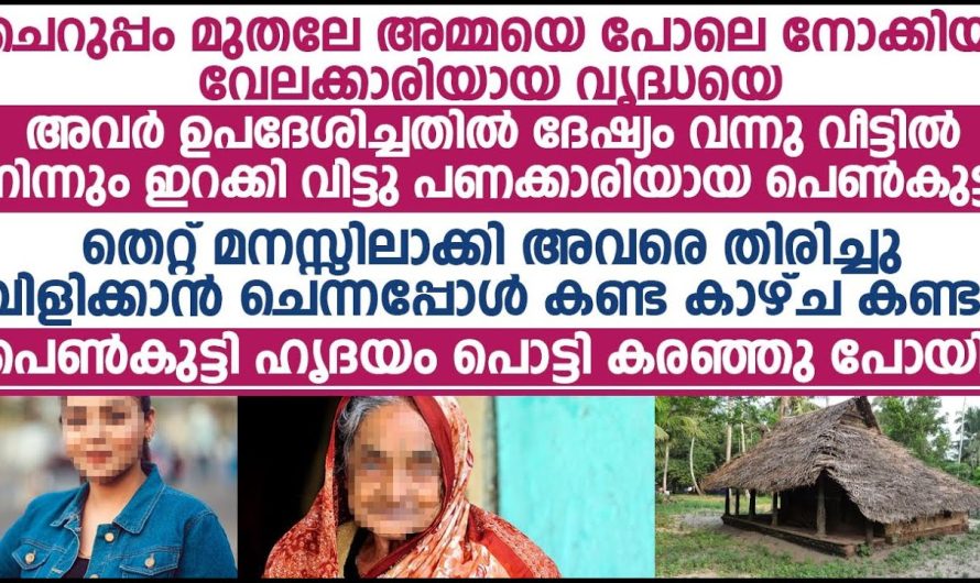 ചെറുപ്പം മുതലേ അമ്മയെപ്പോലെ നോക്കിയ വേലക്കാരിയായ വൃദ്ധയെ പെൺകുട്ടി ചെയ്തത് കണ്ടോ!