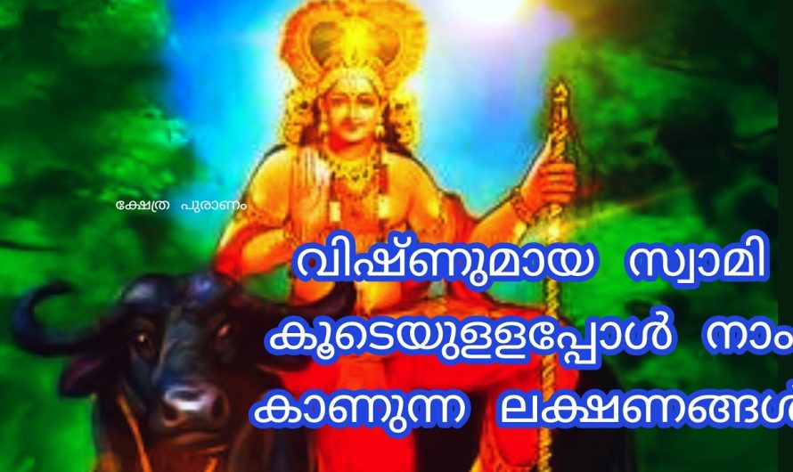 ചാത്തൻ സ്വാമി കൂടെയുള്ളപ്പോൾ……..  അത്ഭുതങ്ങൾ സംഭവിക്കും!