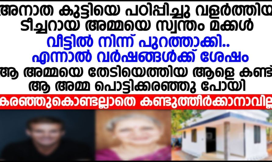 അനാഥ കുട്ടിയെ പഠിപ്പിച്ചു വളർത്തിയ ടീച്ചറായ അമ്മയെ സ്വന്തം മക്കൾ വീട്ടിൽ നിന്നും പുറത്താക്കി പിന്നീട് അവിടെ സംഭവിച്ചത്!