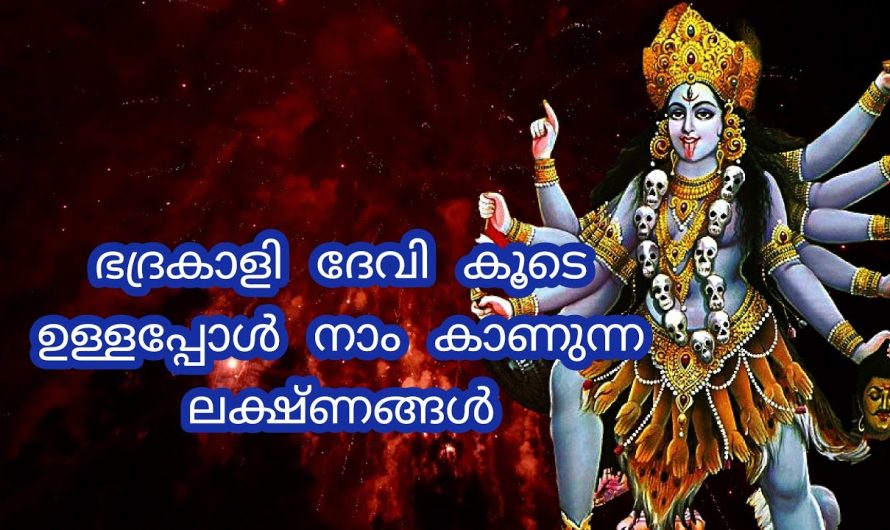 ഭദ്രകാളി ദേവിയുടെ സാന്നിധ്യം നമ്മളിൽ ഉണ്ടാകുമ്പോൾ കാണുന്ന ലക്ഷണങ്ങൾ!