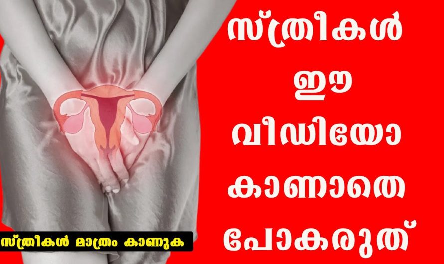 സ്ത്രീകൾ ഈ വീഡിയോ കാണാതെ പോകരുത് വലിയ നഷ്ടമുണ്ടാകും!