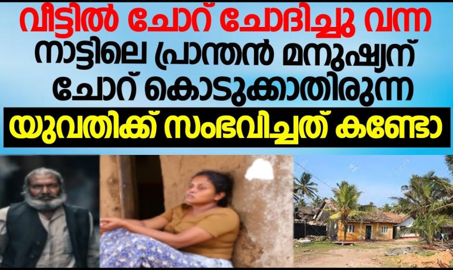 വീട്ടിൽ ചോറ് ചോദിച്ചു വന്ന നാട്ടിലെ ഭ്രാന്തൻ മനുഷ്യന് ചോറ് കൊടുക്കാതിരുന്ന യുവതിക്ക് സംഭവിച്ചത് കണ്ടോ!