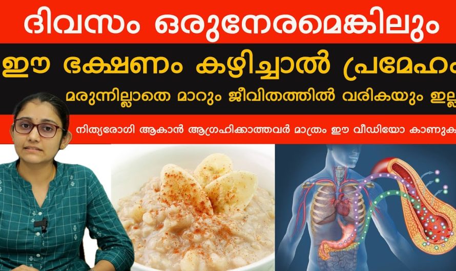 നിത്യ രോഗി ആകാൻ ആഗ്രഹിക്കാത്തവർ മാത്രം ഈ വീഡിയോ കാണുക!