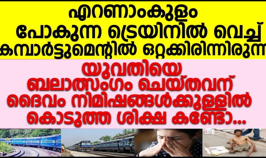 എറണാകുളം പോകുന്ന ട്രെയിനിൽ യുവതിയെ ബലാ.ൽസം.ഗം ചെയ്ത യുവാവിനോട് യുവതി ചെയ്തു കണ്ടോ!