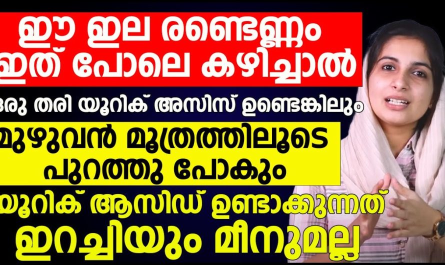 നിങ്ങളുടെ ശരീരത്തിൽ നിന്നും യൂറിക്കാസിഡ് പുറന്തള്ളണോ?? ഇങ്ങനെ ചെയ്താൽ മാത്രം മതി