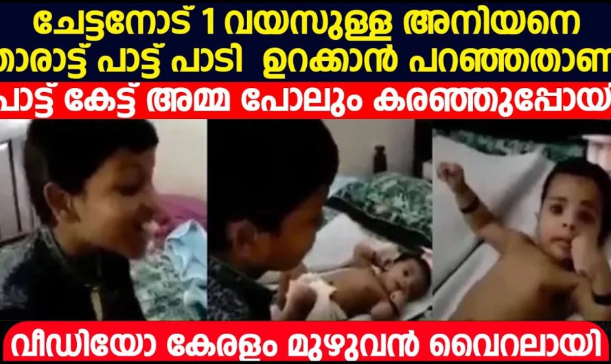 ചേട്ടനോട് അനിയനെ താരാട്ട് പാട്ട് പാടി ഉറക്കാൻ പറഞ്ഞതാണ്