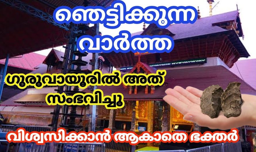 ഗുരുവായൂരിൽ സംഭവിച്ചത് ഭക്തർ അറിയുന്നുണ്ടോ?? പുറം ലോകം അറിഞ്ഞു തുടങ്ങുന്നു