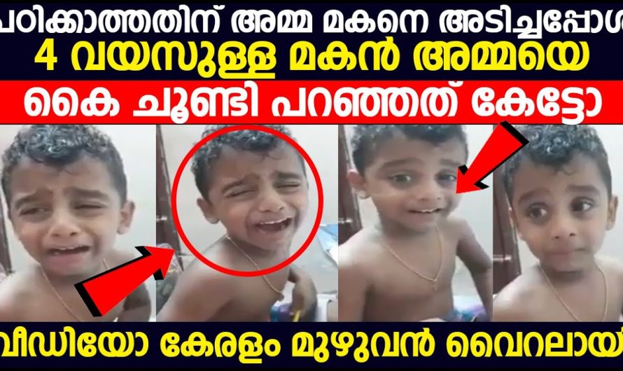 നാലു വയസ്സുള്ള മകൻ അമ്മയെ കഴിച്ചുകൊണ്ട് പറഞ്ഞത് കേട്ടോ വീഡിയോ വൈറൽ!