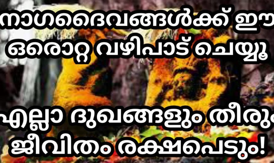 നാഗ ദൈവങ്ങൾക്ക് നിങ്ങൾ വഴിപാട് ചെയ്യാറുണ്ടോ?? വർഷത്തിൽ ഒരിക്കൽ ചെയ്താൽ….