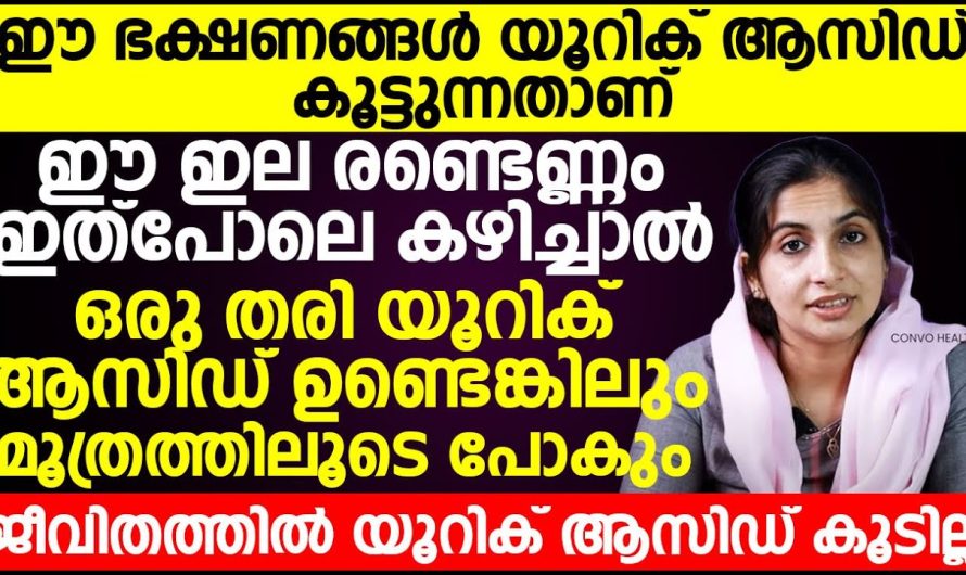 യൂറിക്കാസിഡ് ഉള്ളവരാണോ നിങ്ങൾ?? ഈ വീഡിയോ തികച്ചും ഫലപ്രദമാകും!