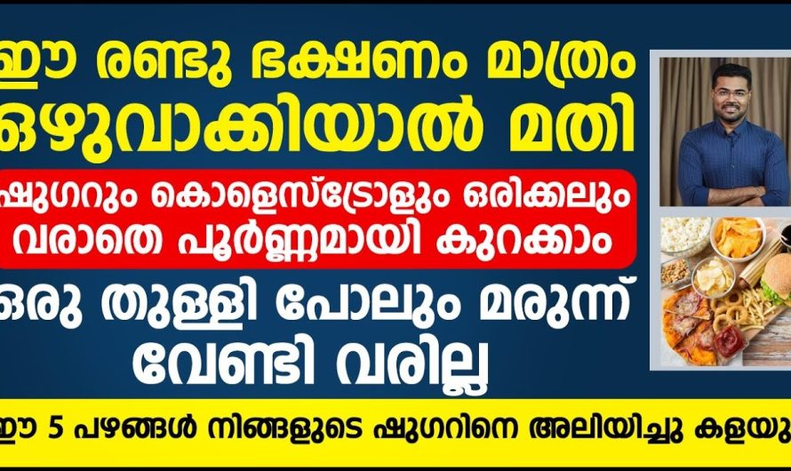 ഈ 5 പഴങ്ങൾ നിങ്ങളുടെ ഷുഗറിനെ അലിയിച്ചു കളയും ഉറപ്പ്