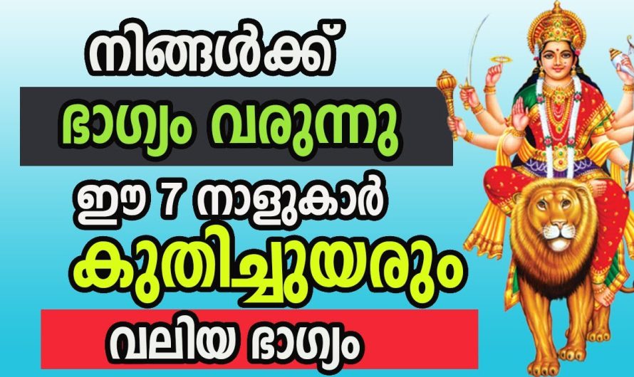 ഈ 7 നാളുകാർ കുതിച്ച് ഉയരും വലിയ ഭാഗ്യം