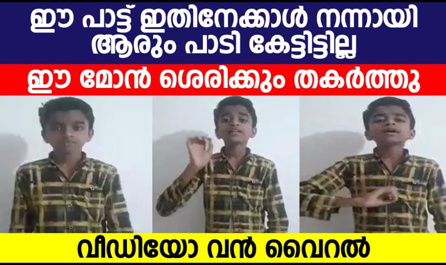 ഈ മോൻ ശെരിക്കും തകർത്തു… വീഡിയോ വൻ വൈറൽ…