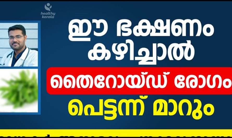 തൈറോയ്ഡ് രോഗം പെട്ടെന്ന് മാറണോ??? ഈ ഭക്ഷണം കഴിച്ചാൽ മതി