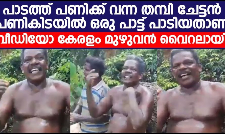 പാടത്ത് പണിക്ക് വന്ന തമ്പി ചേട്ടൻ പാടിയ പാട്ട് വീഡിയോ കേരളം മുഴുവൻ വയറിലായി!