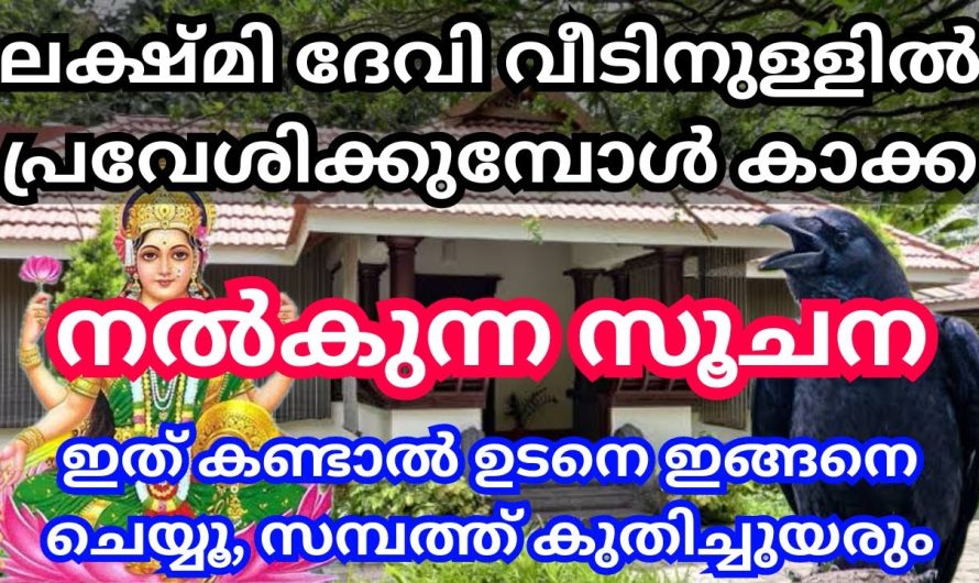 ലക്ഷ്മി ദേവി വീട്ടിൽ പ്രവേശിക്കുമ്പോൾ കാക്ക നൽകുന്ന സൂചനകൾ,ഉടനെ ഇങ്ങനെ ചെയ്യൂ,