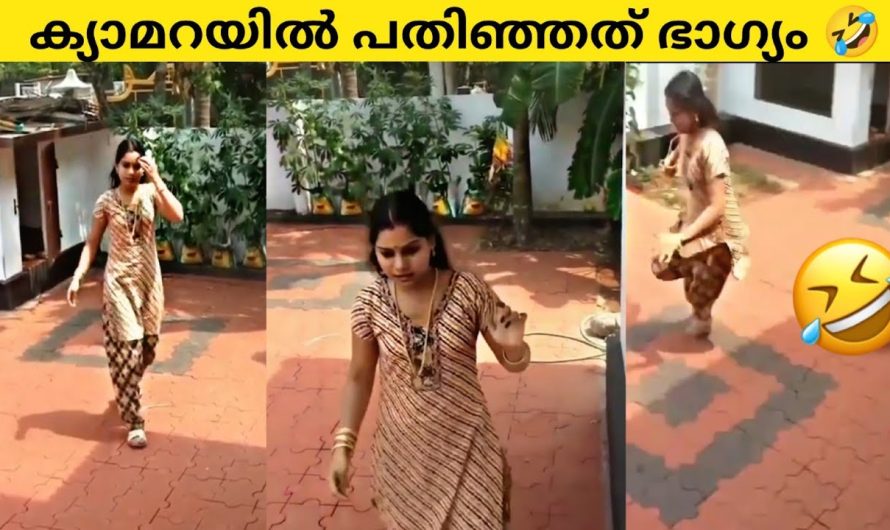 ക്യാമറയിൽ പതിഞ്ഞതുകൊണ്ട് നാട്ടുകാർക്കും കാണാൻ പറ്റി