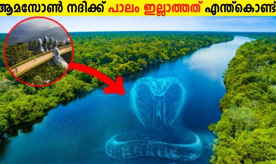 ആമസോൺ നദിക്ക് മുകളിൽ പാലം പണിയാത്തത് എന്ത്കൊണ്ട്?