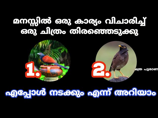 മനസ്സിൽ ആഗ്രഹിച്ച കാര്യം നടക്കുമോ ഇല്ലയോ എന്ന് നോക്കാം തൊടുകുറി ശാസ്ത്രം