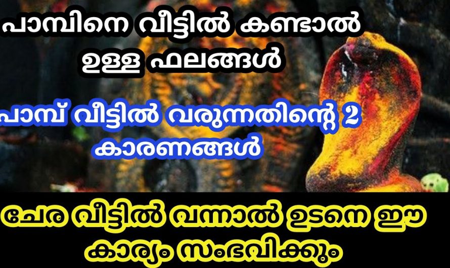 സർപ്പങ്ങൾ വീട്ടിൽ വന്നാൽ സംഭവിക്കുന്ന 5 കാര്യങ്ങൾ