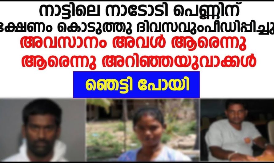 നാട്ടിലെ നാടോടി പെണ്ണിന് ഭക്ഷണം കൊടുത്ത് ദിവസവും പീ.ഡി.പ്പി ച്ച യുവാക്കൾക്ക് സംഭവിച്ചത്