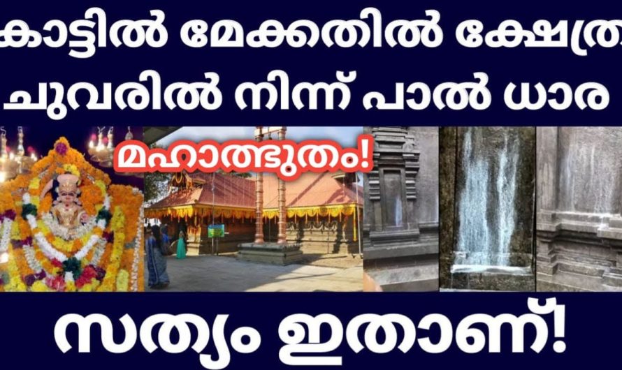 കാട്ടിൽ മേക്കതിൽ ദേവി ക്ഷേത്രത്തിൽ ചുവരിൽ നിന്ന് പാലൊഴുകുന്നു – മഹാത്ഭുതം