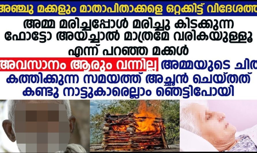 അമ്മയുടെ ചിത കത്തിക്കുന്ന സമയത്ത് അച്ഛൻ ചെയ്തത് കണ്ടോ? നാട്ടുകാരെല്ലാം ഞെട്ടിപ്പോയി