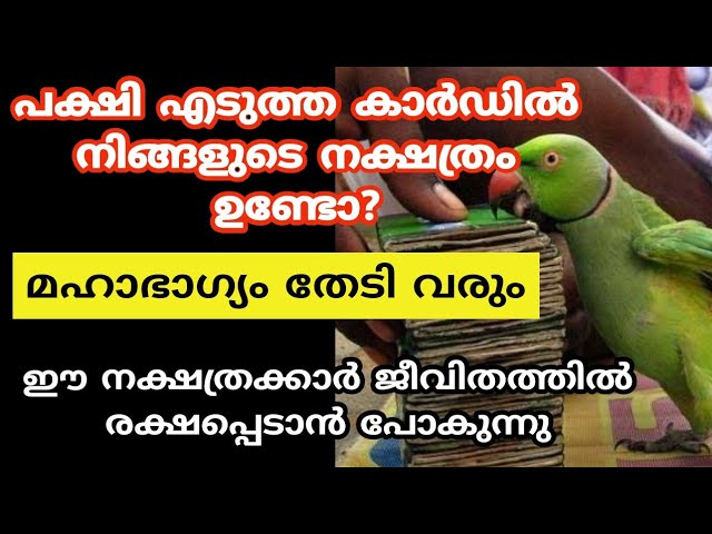 നിങ്ങളുടെ നക്ഷത്രം പക്ഷി എടുത്ത കാർഡിൽ ഉണ്ടോ? എങ്കിൽ രക്ഷപ്പെട്ടു.