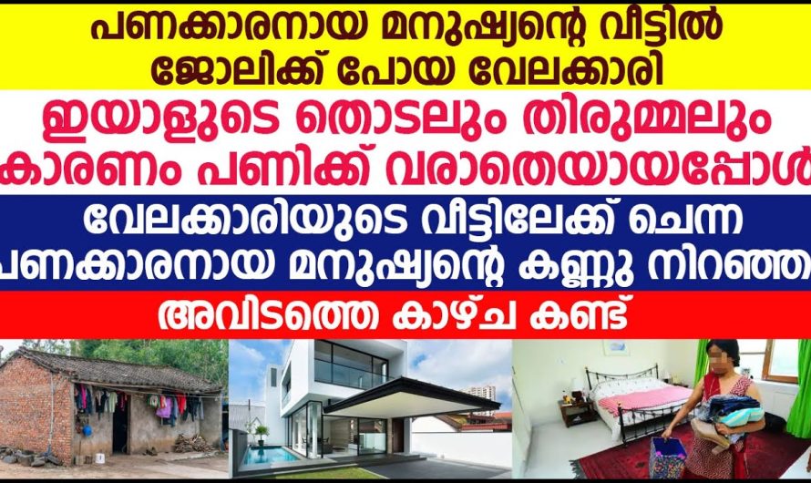 പണക്കാരനായ മനുഷ്യന്റെ വീട്ടിൽ ജോലിക്ക് പോയ വേലക്കാരിക്ക് സംഭവിച്ചത്