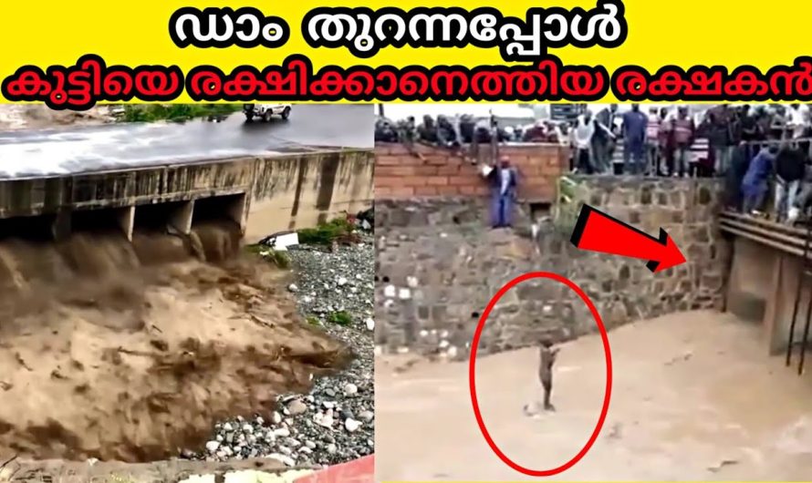 ക്യാമറയിൽ പതിഞ്ഞില്ലെങ്കിൽ വിശ്വസിക്കില്ല|