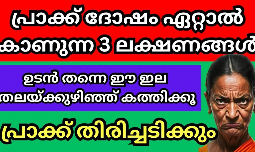 പ്രാക്ക് ദോഷം ഏറ്റാൽ ഉടൻ തന്നെ ഇങ്ങനെ ചെയ്യൂ, പ്രാക്ക് തിരിച്ചടിക്കും